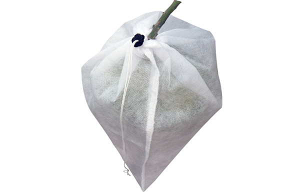 vải không dệt ứng dụng trong nông nghiệp